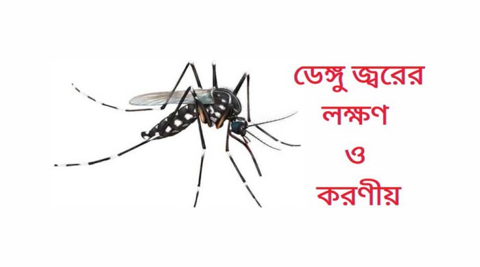 ডেঙ্গু জ্বরের লক্ষণ ও করণীয়